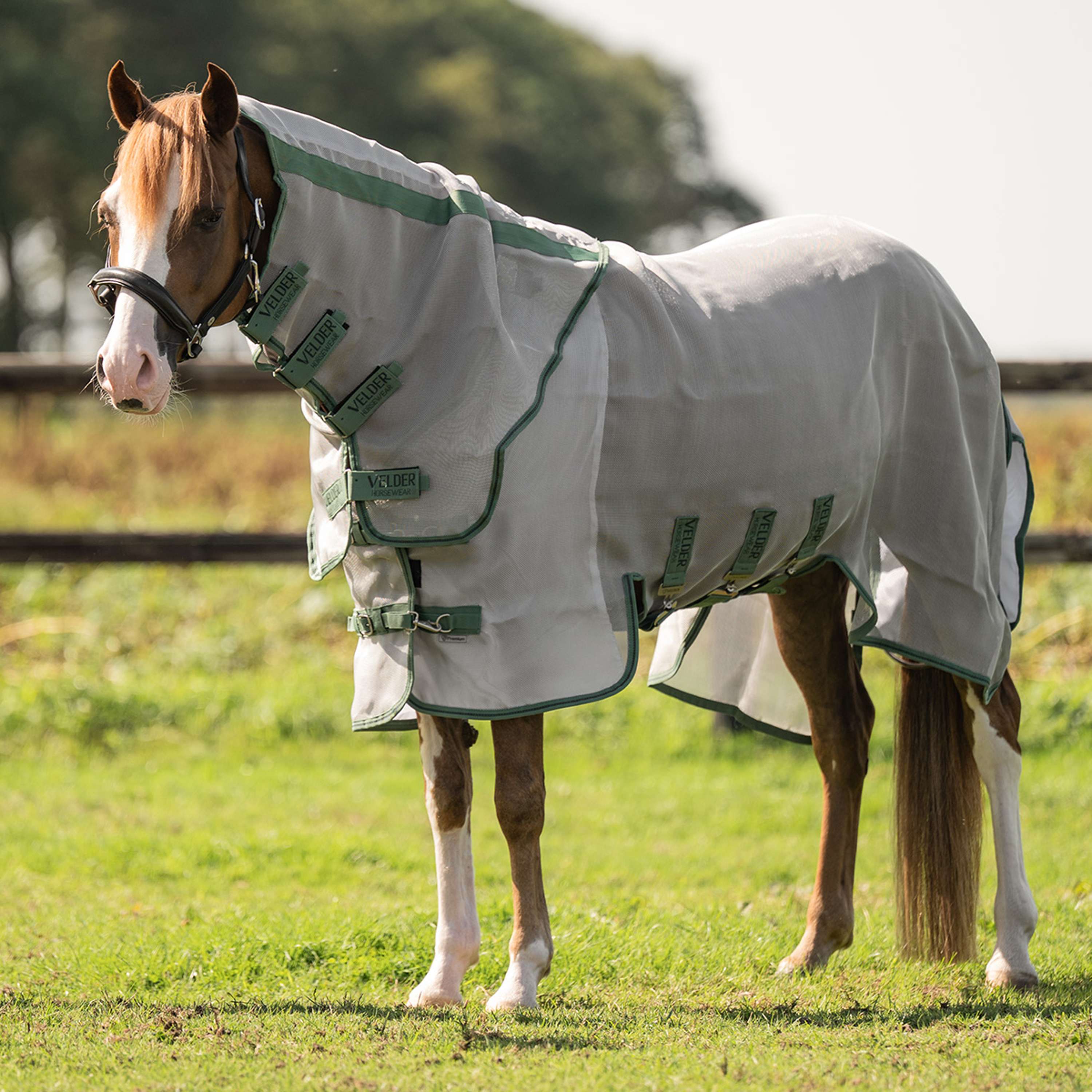 Velder Horsewear Premium Pony Insect Guard Plus Argent