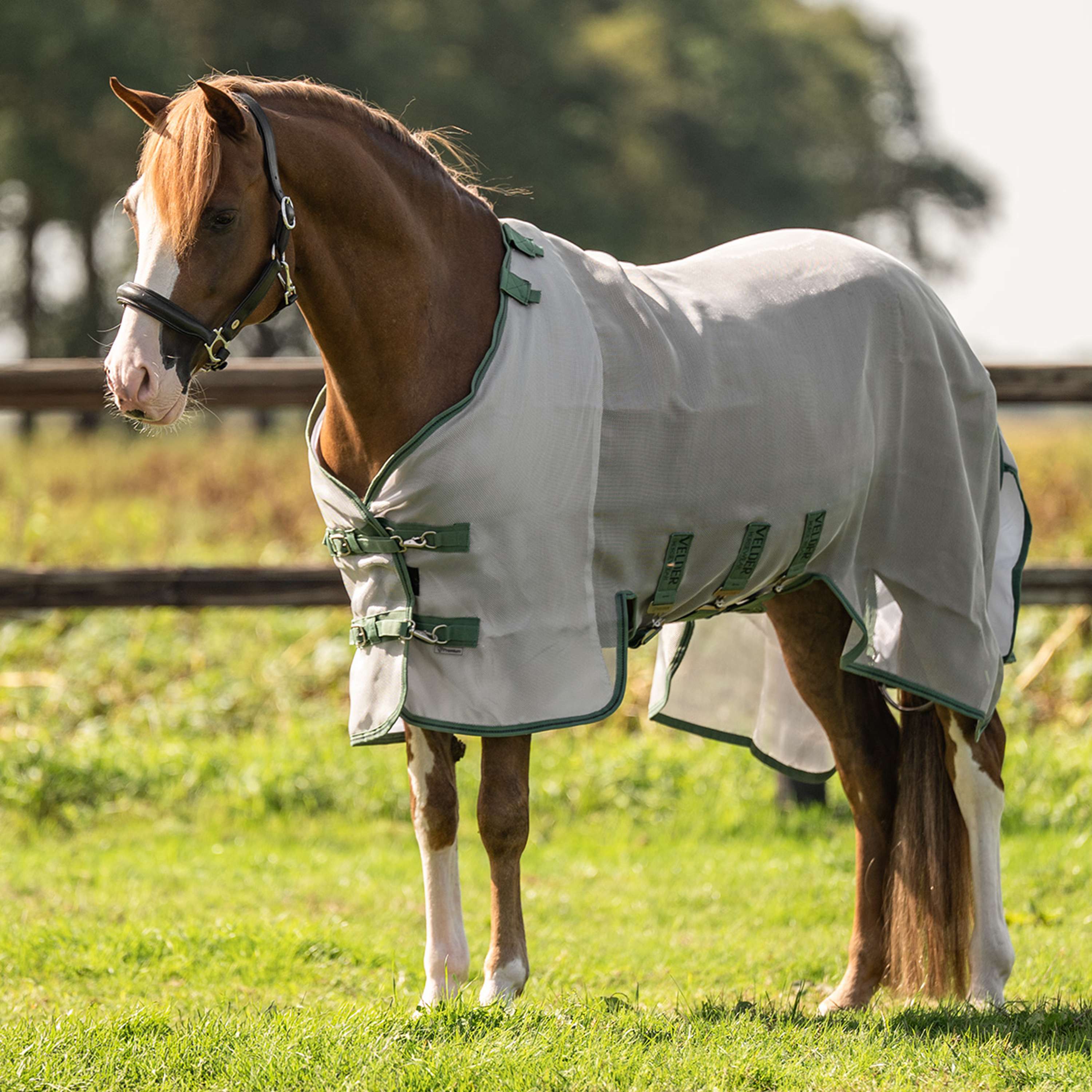 Velder Horsewear Premium Pony Insect Guard Plus Argent
