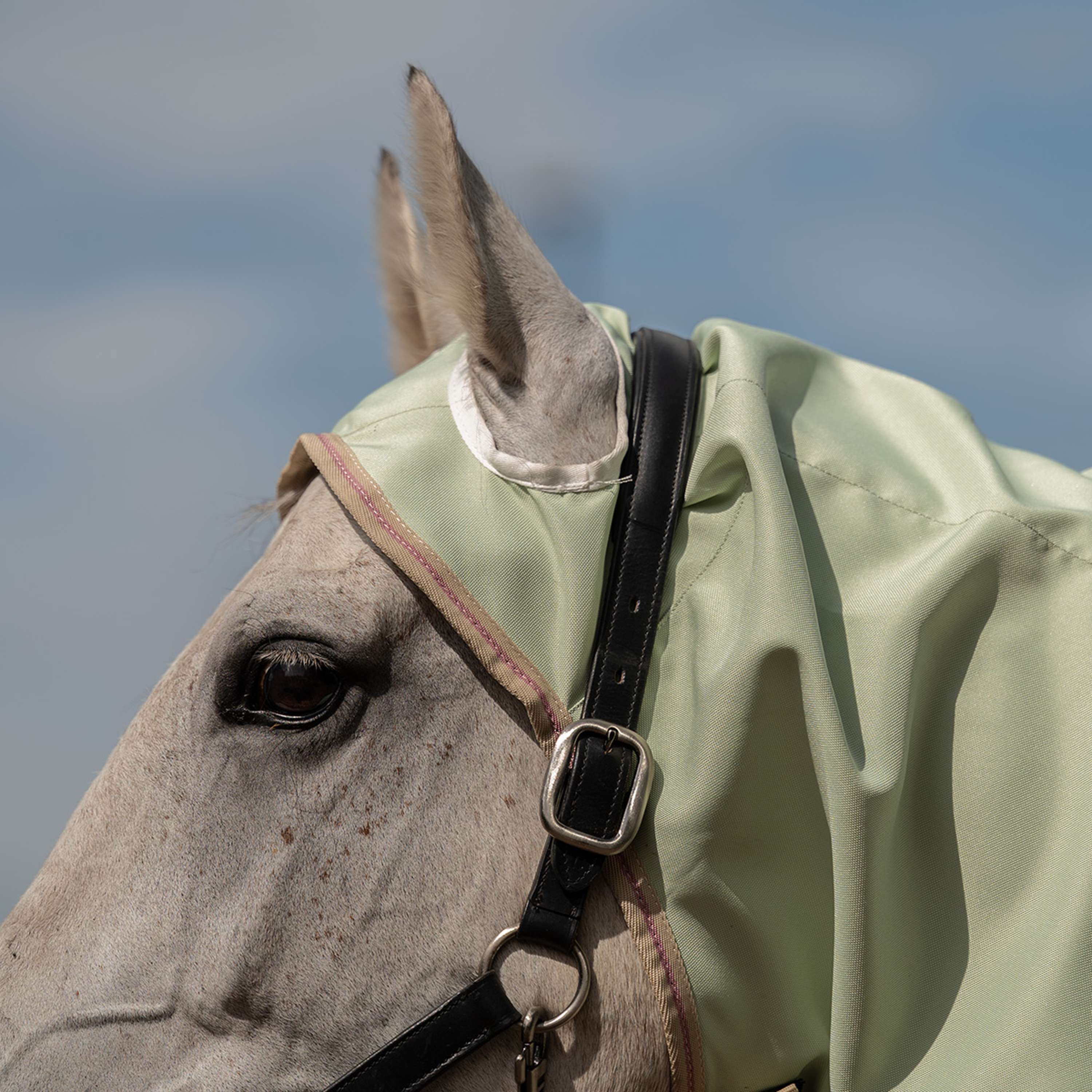 Velder Horsewear Premium Pony Lightweight Sweet Itch Rug Sage Light