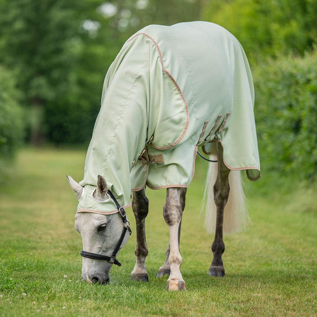 Velder Horsewear Lightweight Sweet Itch Rug Sage Light