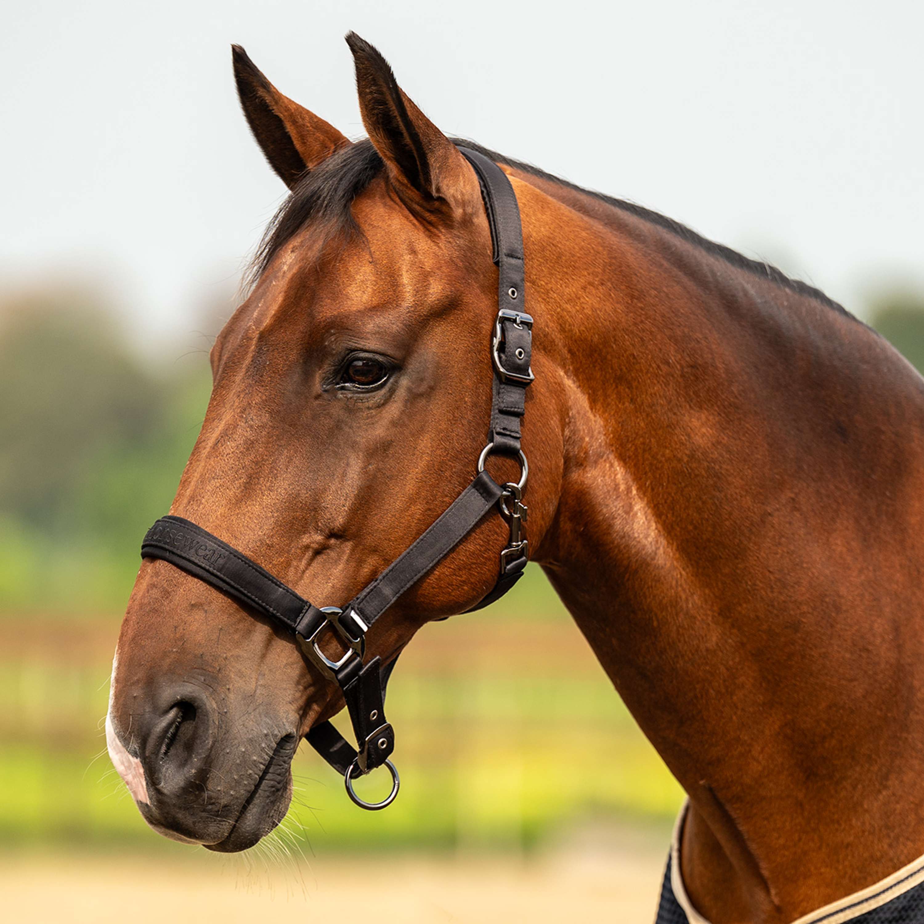 Velder Horsewear Premium Licol Satin Glow Noir