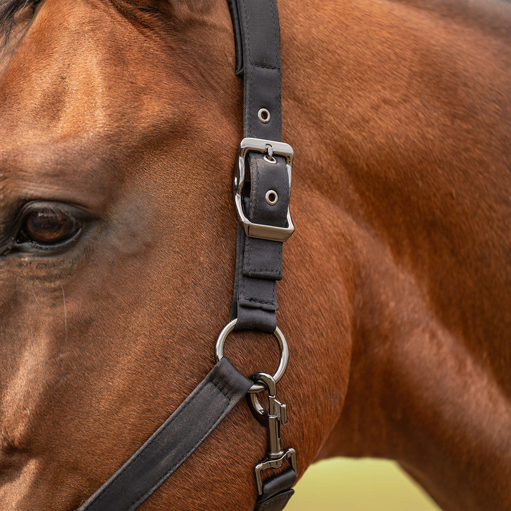 Velder Horsewear Premium Licol Satin Glow Noir