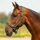 Velder Horsewear Premium Licol Satin Glow Olive Mist