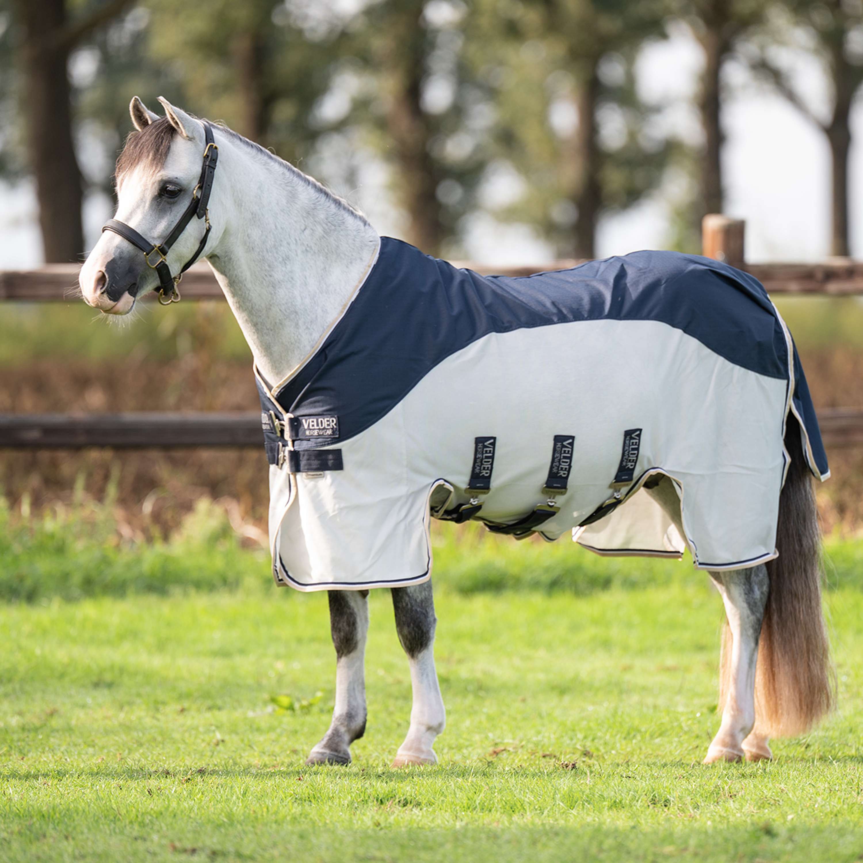 Velder Horsewear Premium Pony Couverture Anti-Mouches Waterproof-Top Navy/Pearl Silver