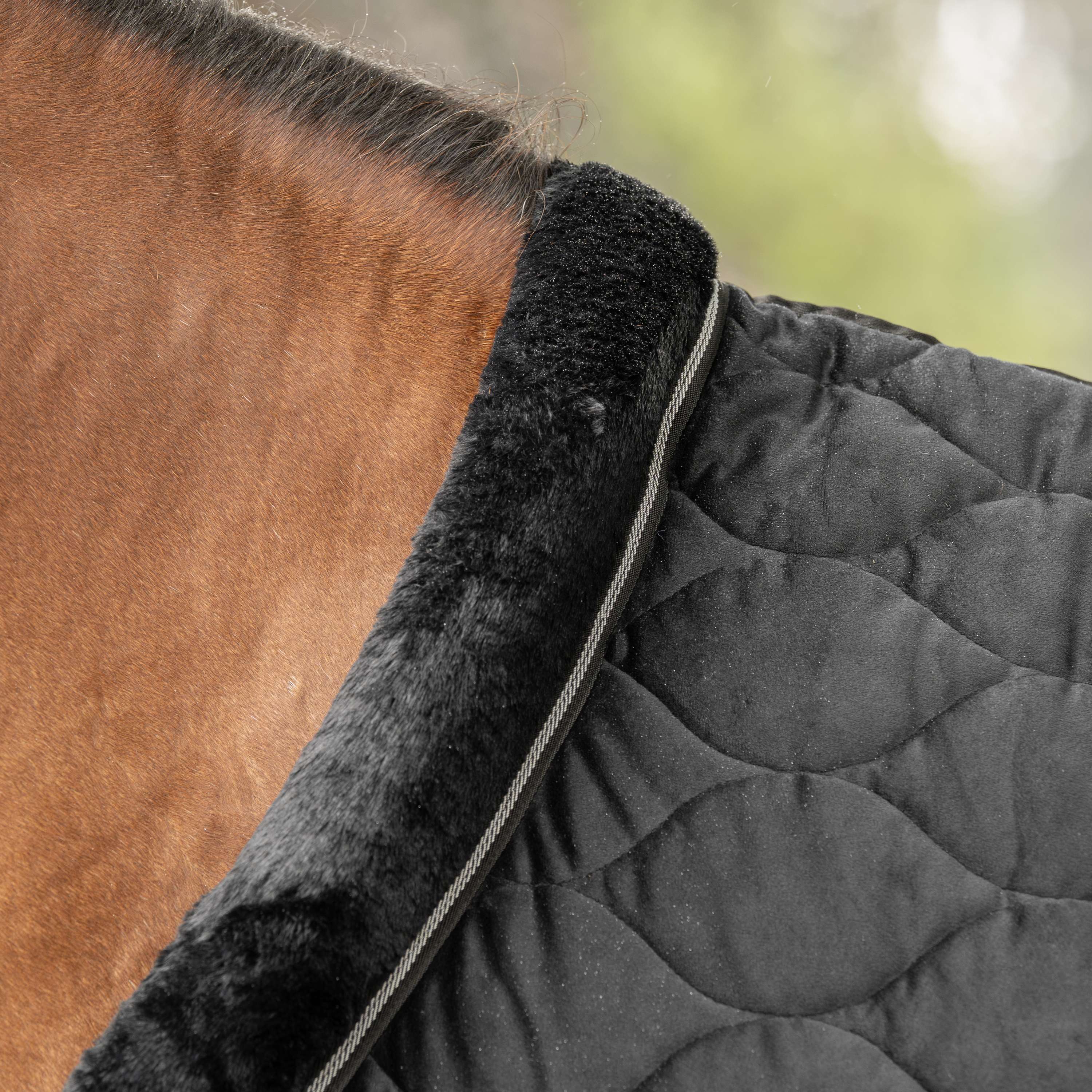 Velder Horsewear Premium Pony Couverture de Concours Satin Glow Black Night