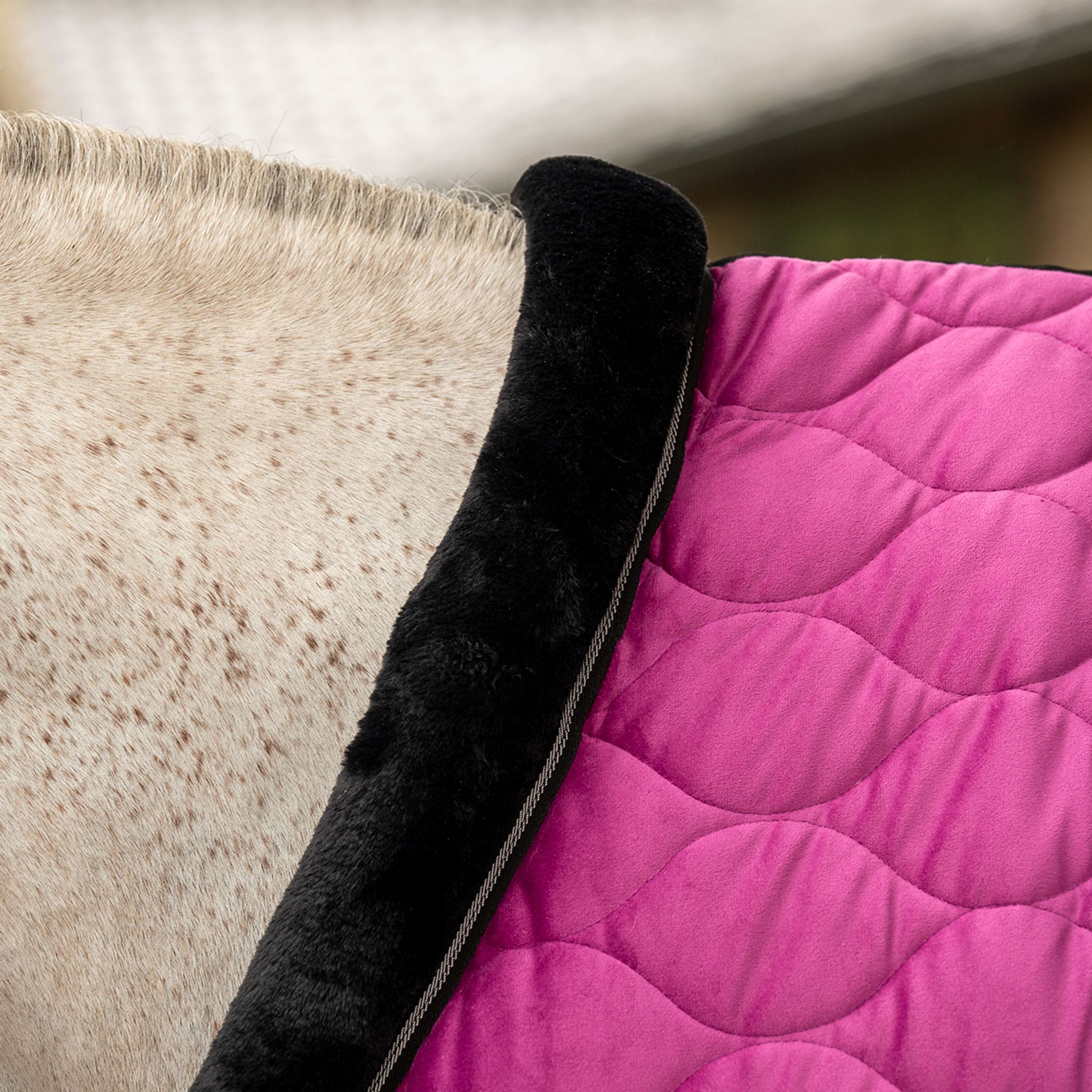 Velder Horsewear Premium Pony Couverture de Concours Satin Glow Dutch Raspberry