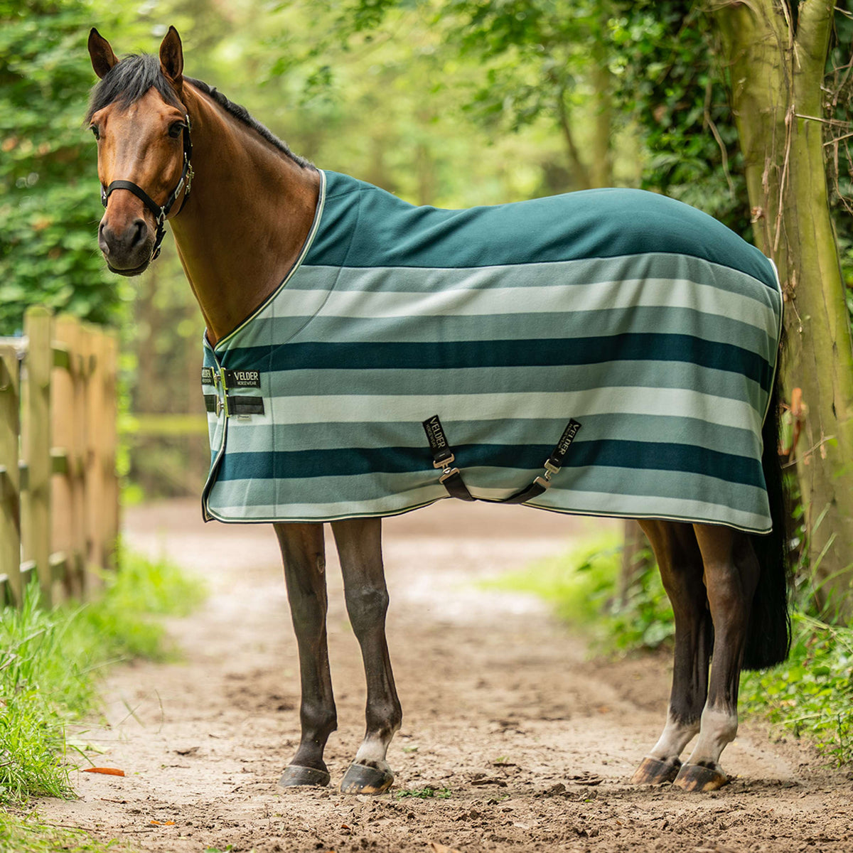 Velder Horsewear Stripe Cooler Rug Striped Night Forest