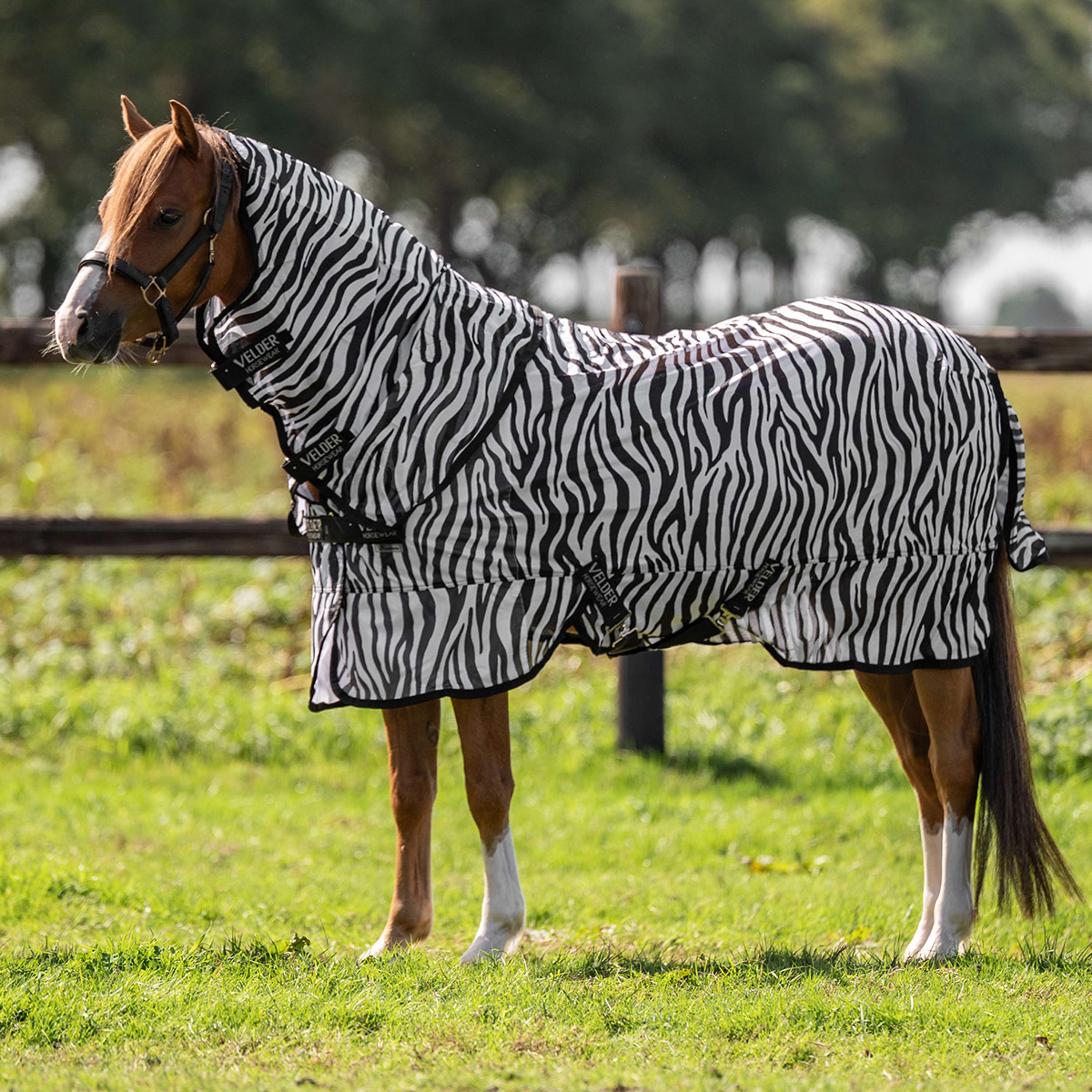 Velder Horsewear Essentials Pony Couverture Anti-Mouches avec Couvre-cou Zebra Noir/Blanc