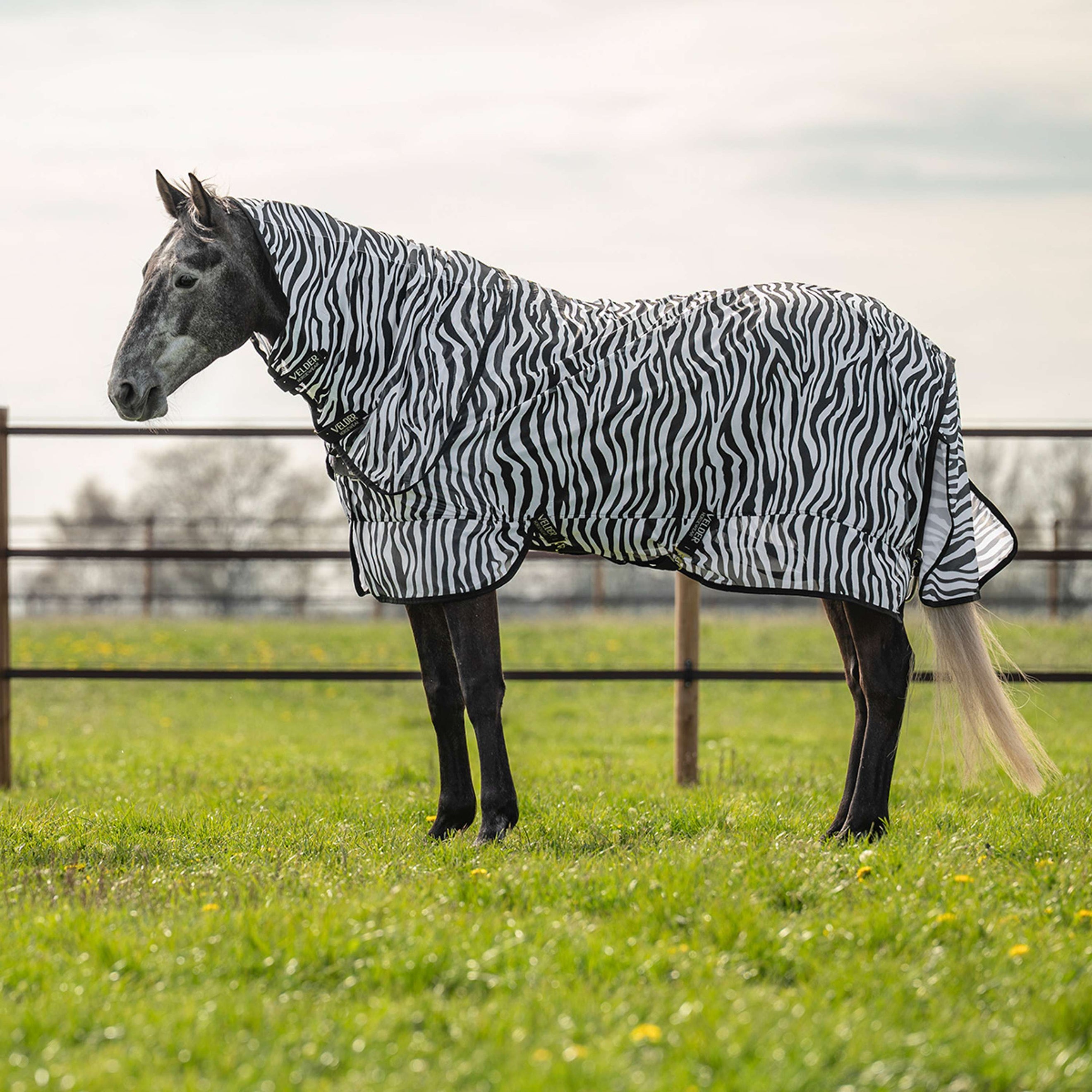Velder Horsewear Couverture Anti-Mouches avec Couvre-cou Zebra Noir/Blanc Velder Horsewear Couverture Anti-Mouches avec Couvre-cou Zebra Noir/Blanc