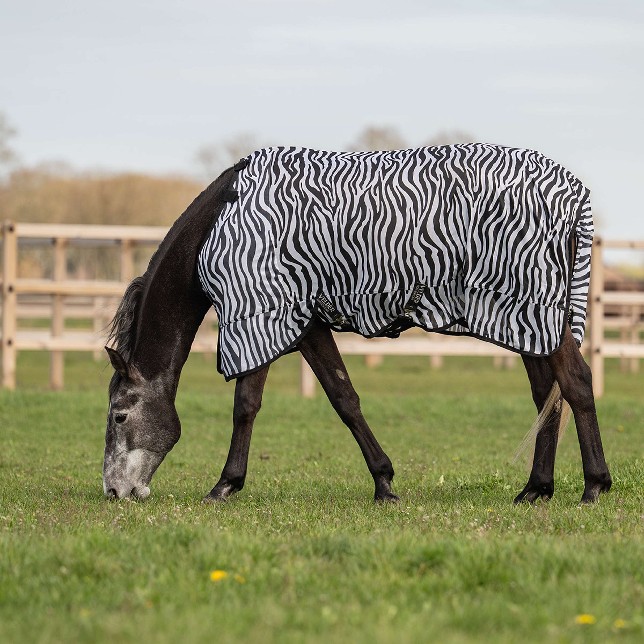 Velder Horsewear Couverture Anti-Mouches avec Couvre-cou Zebra Noir/Blanc Velder Horsewear Couverture Anti-Mouches avec Couvre-cou Zebra Noir/Blanc