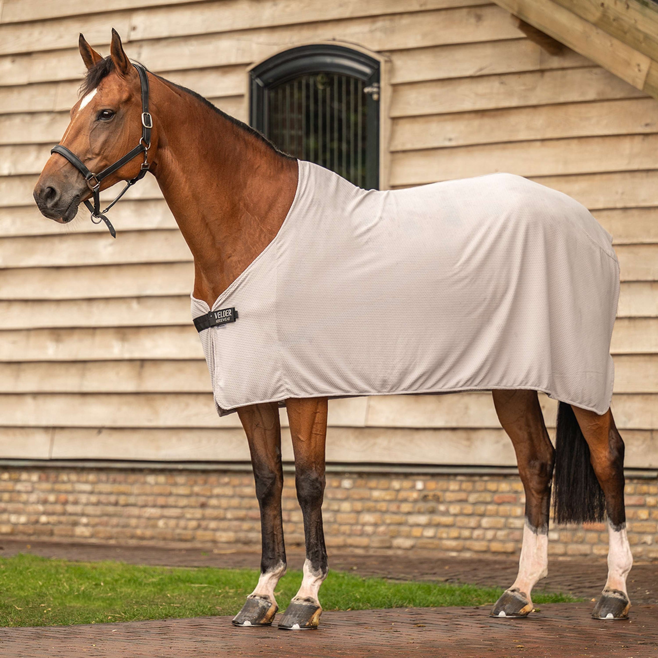 Velder Horsewear Premium Cool Down Rug Summer Rosé