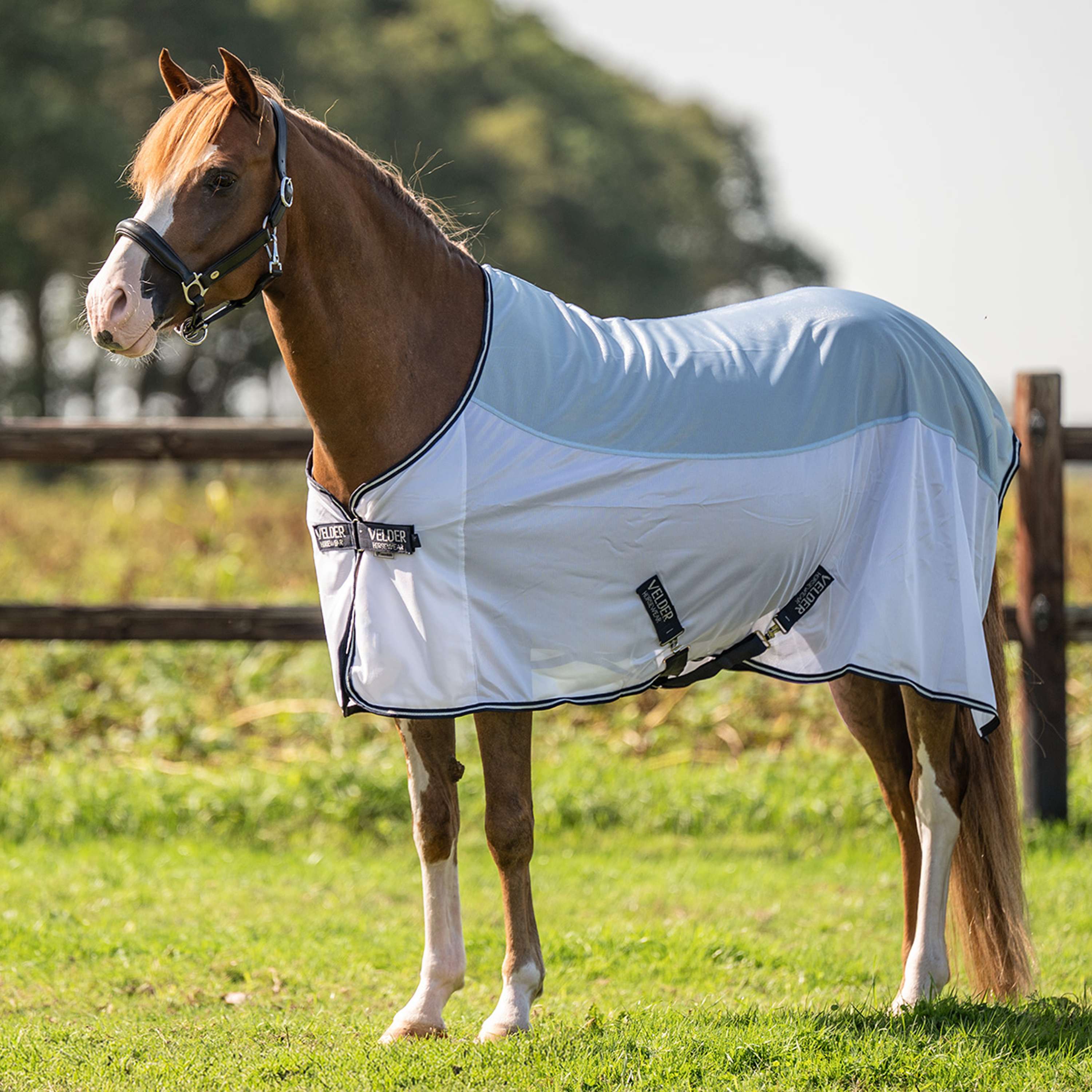 Velder Horsewear Essentials Pony Couverture Anti-Mouches Blush Blue
