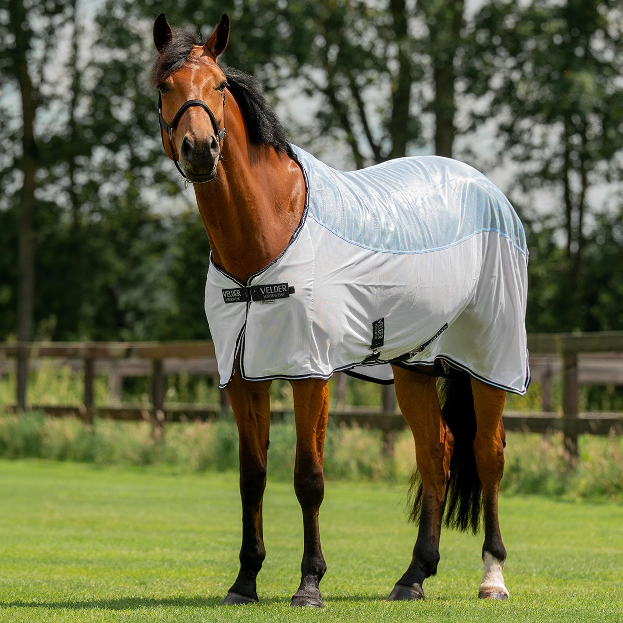 Velder Horsewear Essentials Couverture Anti-Mouches Blush Blue Velder Horsewear Essentials Couverture Anti-Mouches Blush Blue
