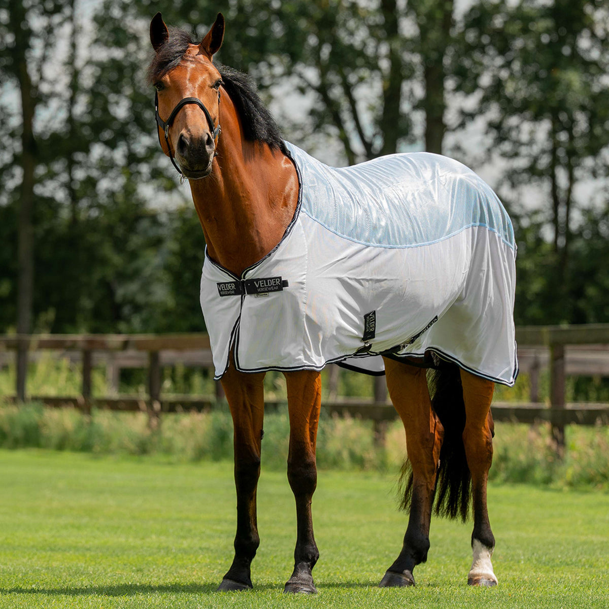 Velder Horsewear Couverture Anti-Mouches Blush Blue