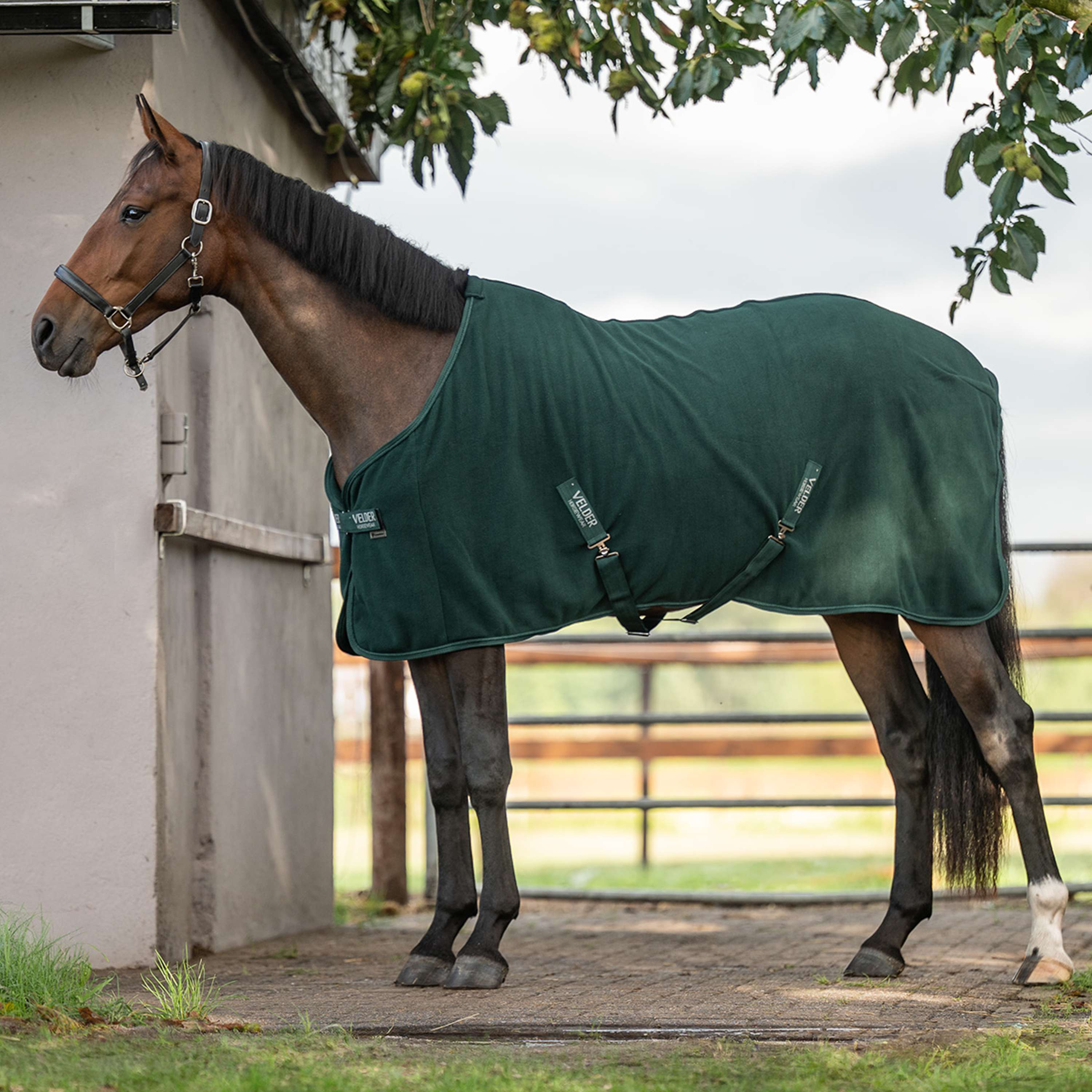 Velder Horsewear Essentials Couverture Polaire Comfy Vert