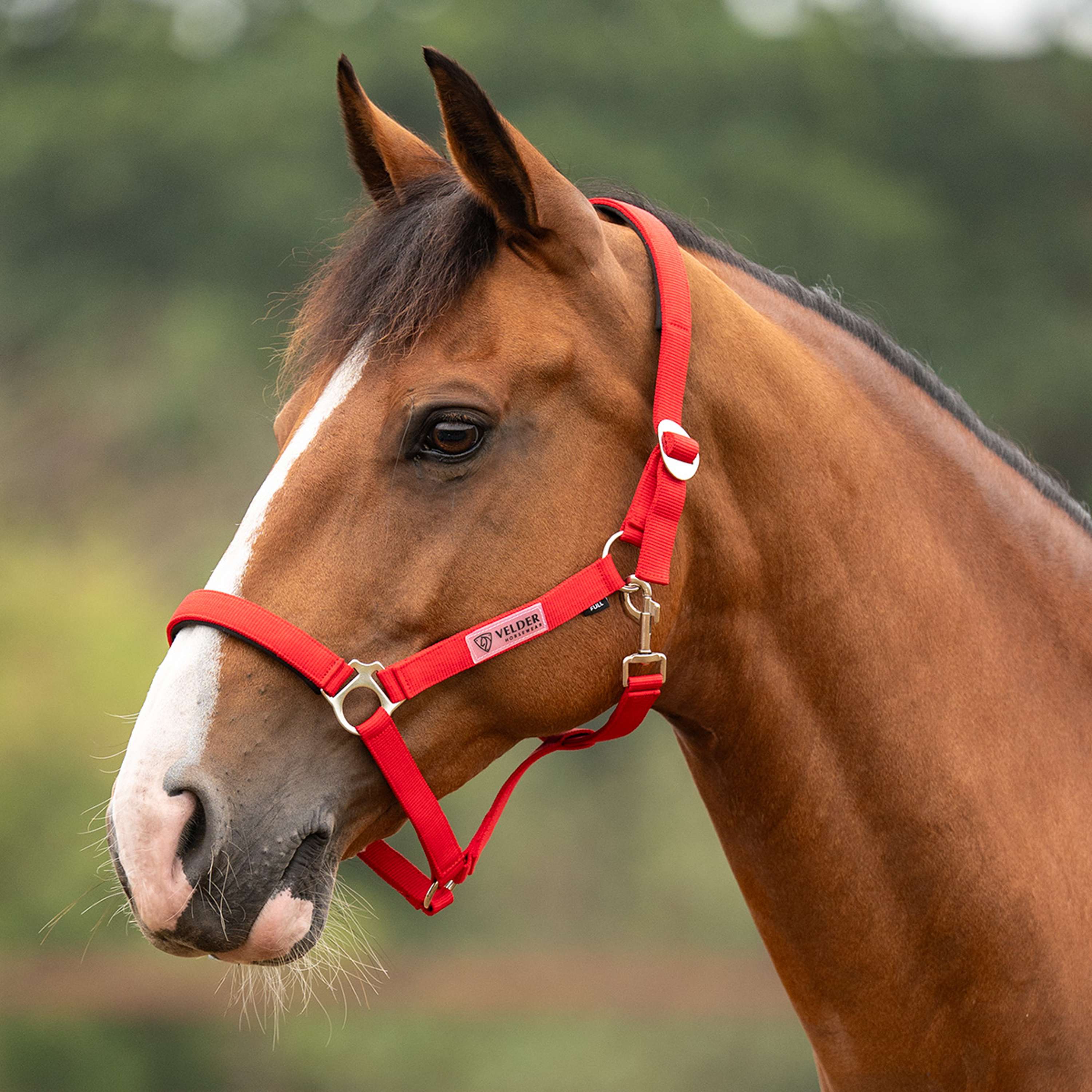 Velder Horsewear Essentials Licol Basic Padded High Risk Red
