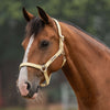 Velder Horsewear Essentials Licol Basic Padded Healing Yellow
