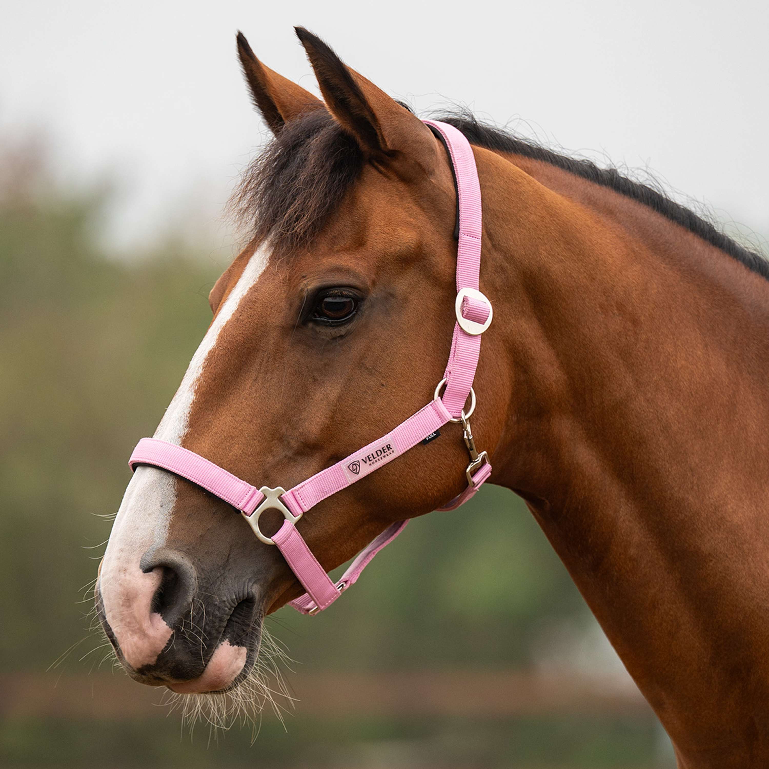 Velder Horsewear Essentials Licol Basic Padded Pop Pink