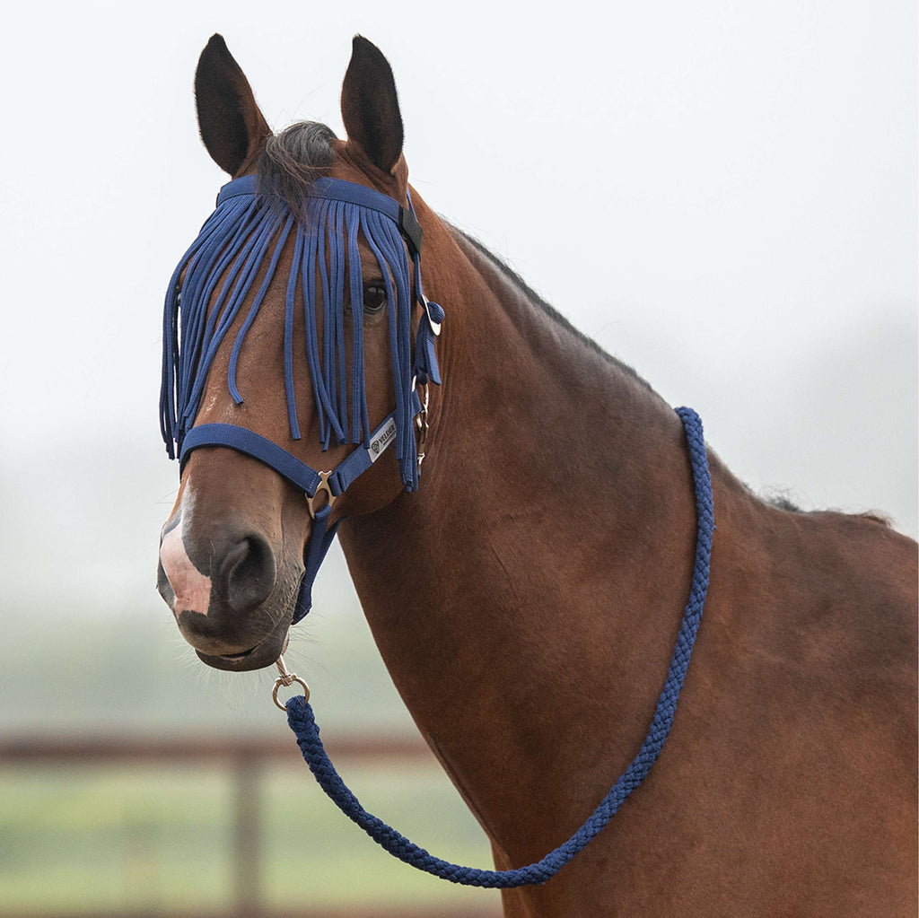 Velder Horsewear Essentials Ensemble Licol Basic Summer Marin