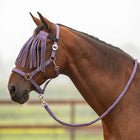 Velder Horsewear Essentials Ensemble Licol Basic Summer Purple Sage