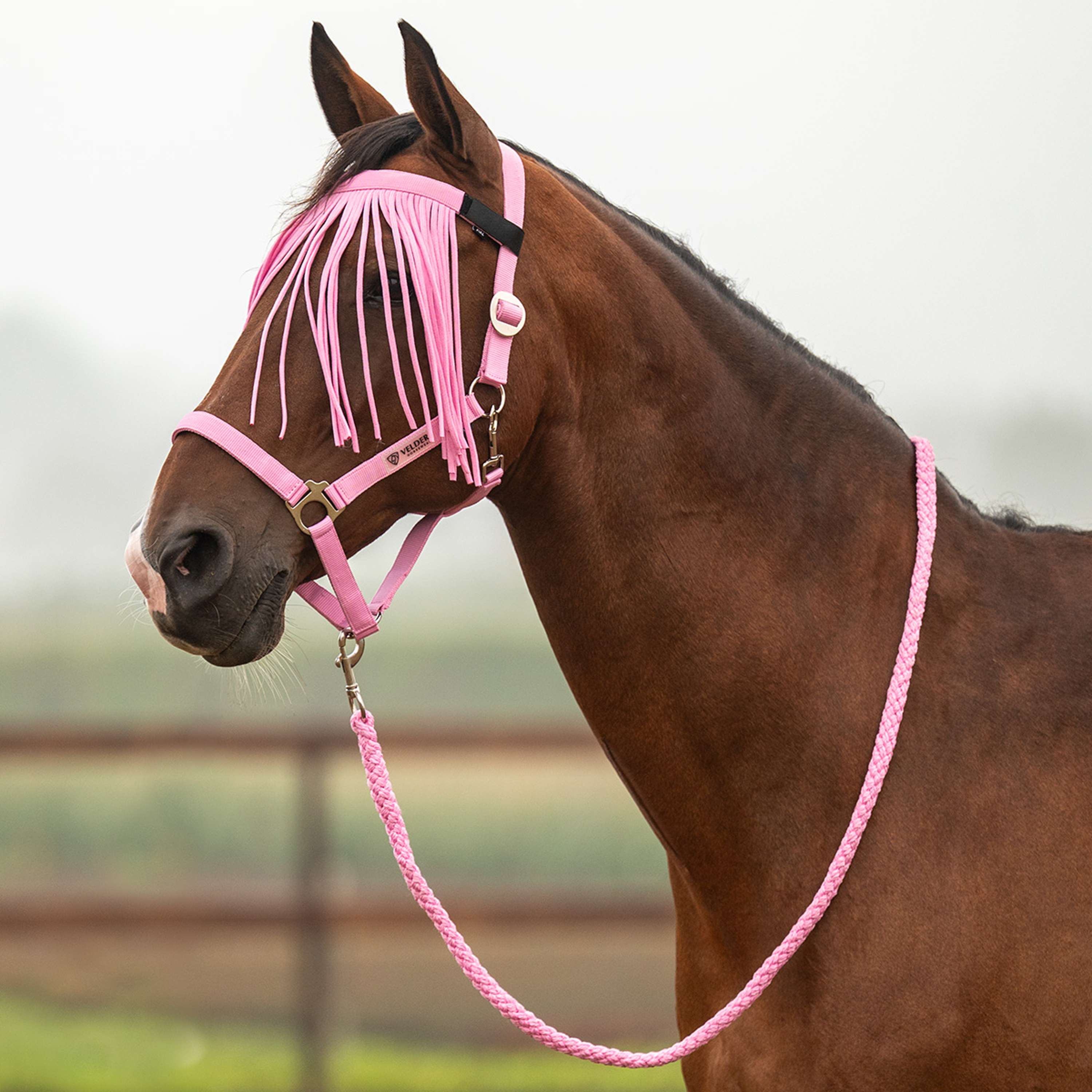 Velder Horsewear Essentials Ensemble Licol Basic Summer Pop Pink