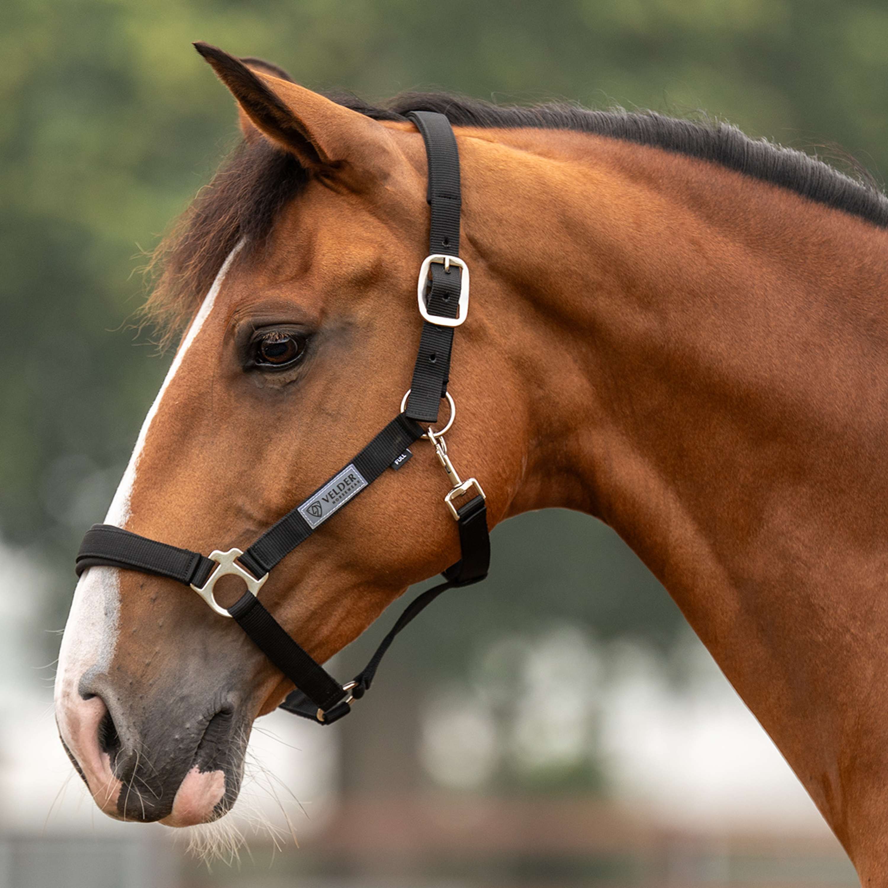 Velder Horsewear Essentials Licol Basic Comfort Noir