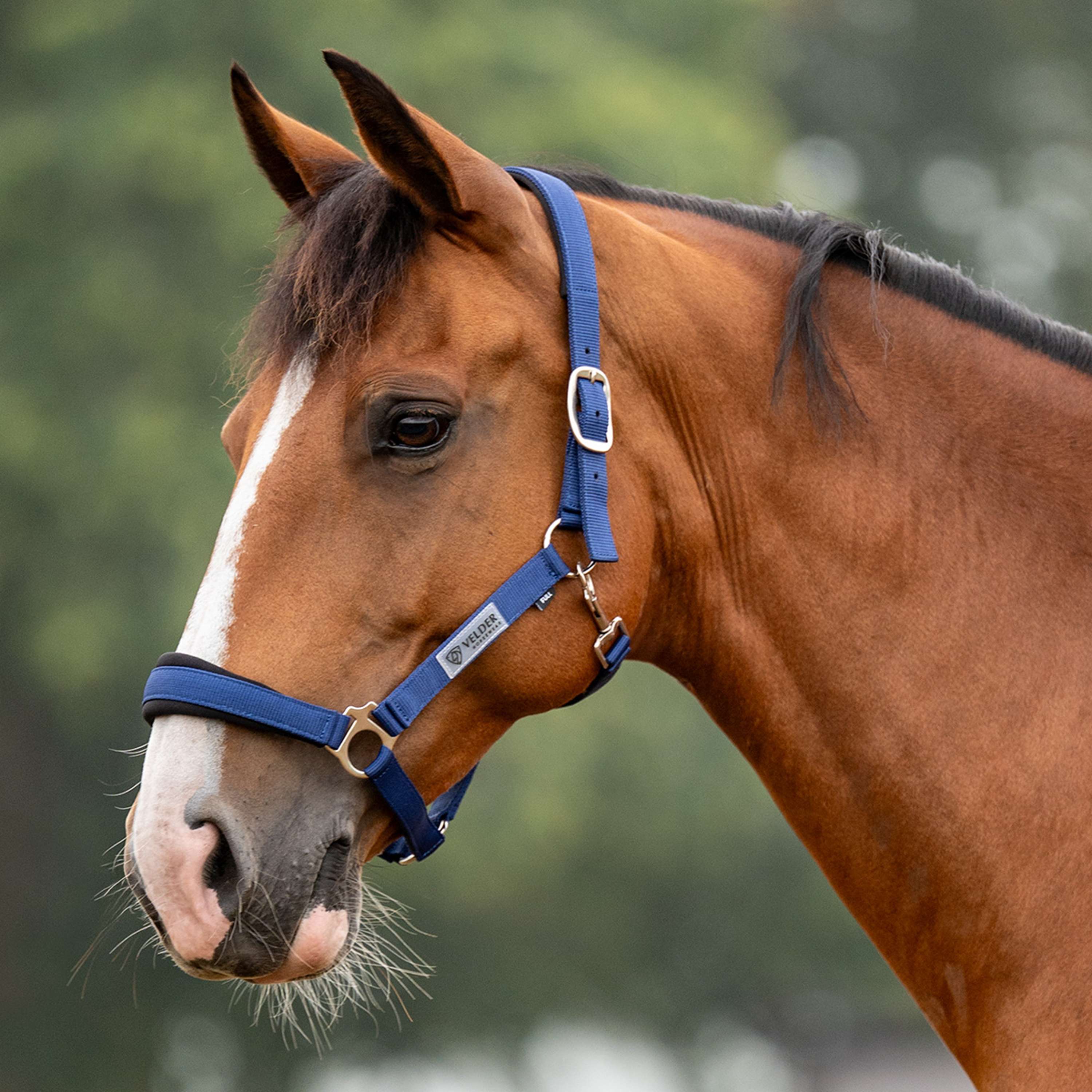 Velder Horsewear Essentials Licol Basic Comfort Marin