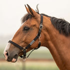 Velder Horsewear Essentials Licol Triple Adjustable Noir