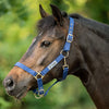 Velder Horsewear Essentials Licol Triple Adjustable Marin