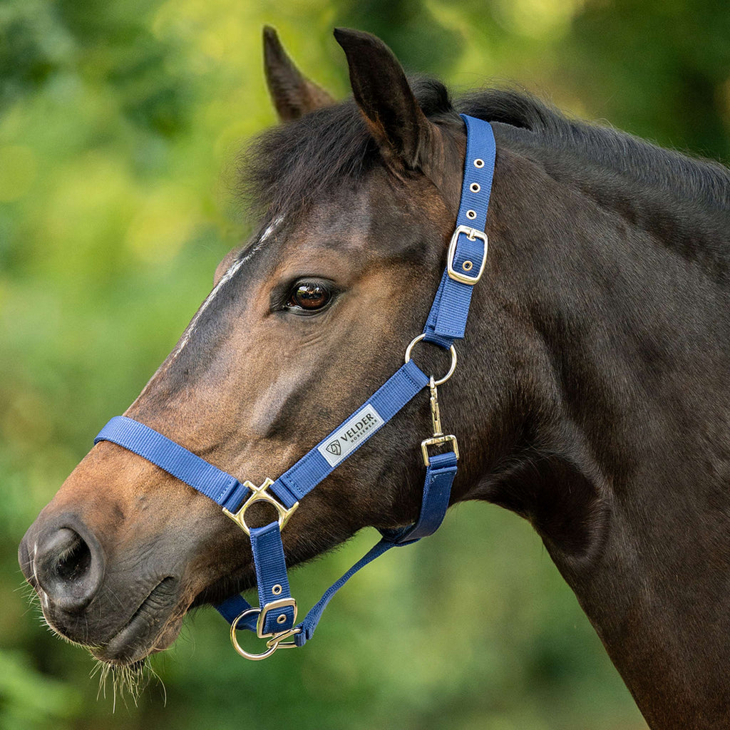 Velder Horsewear Essentials Licol Triple Adjustable Marin
