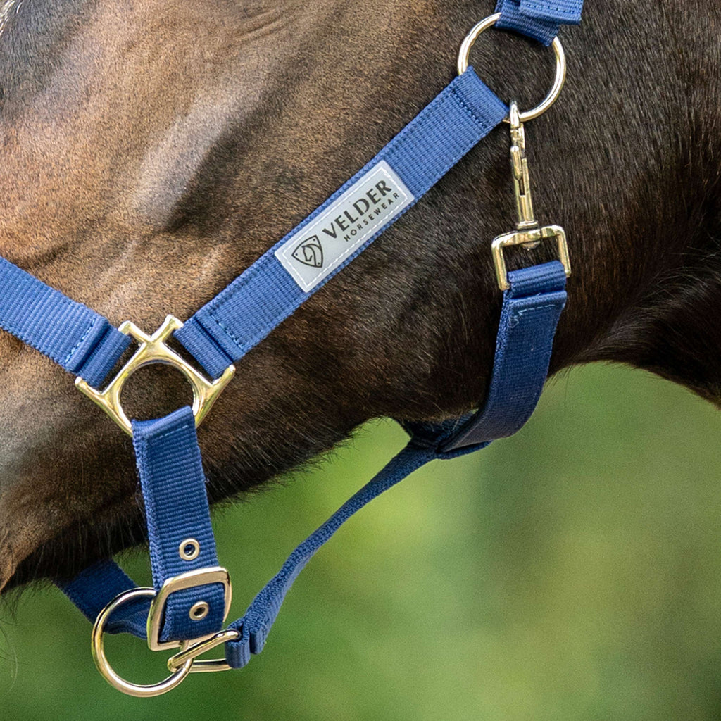 Velder Horsewear Essentials Licol Triple Adjustable Marin