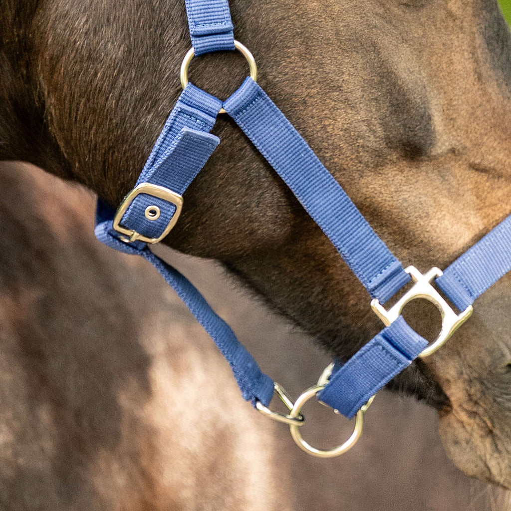 Velder Horsewear Essentials Licol Triple Adjustable Marin