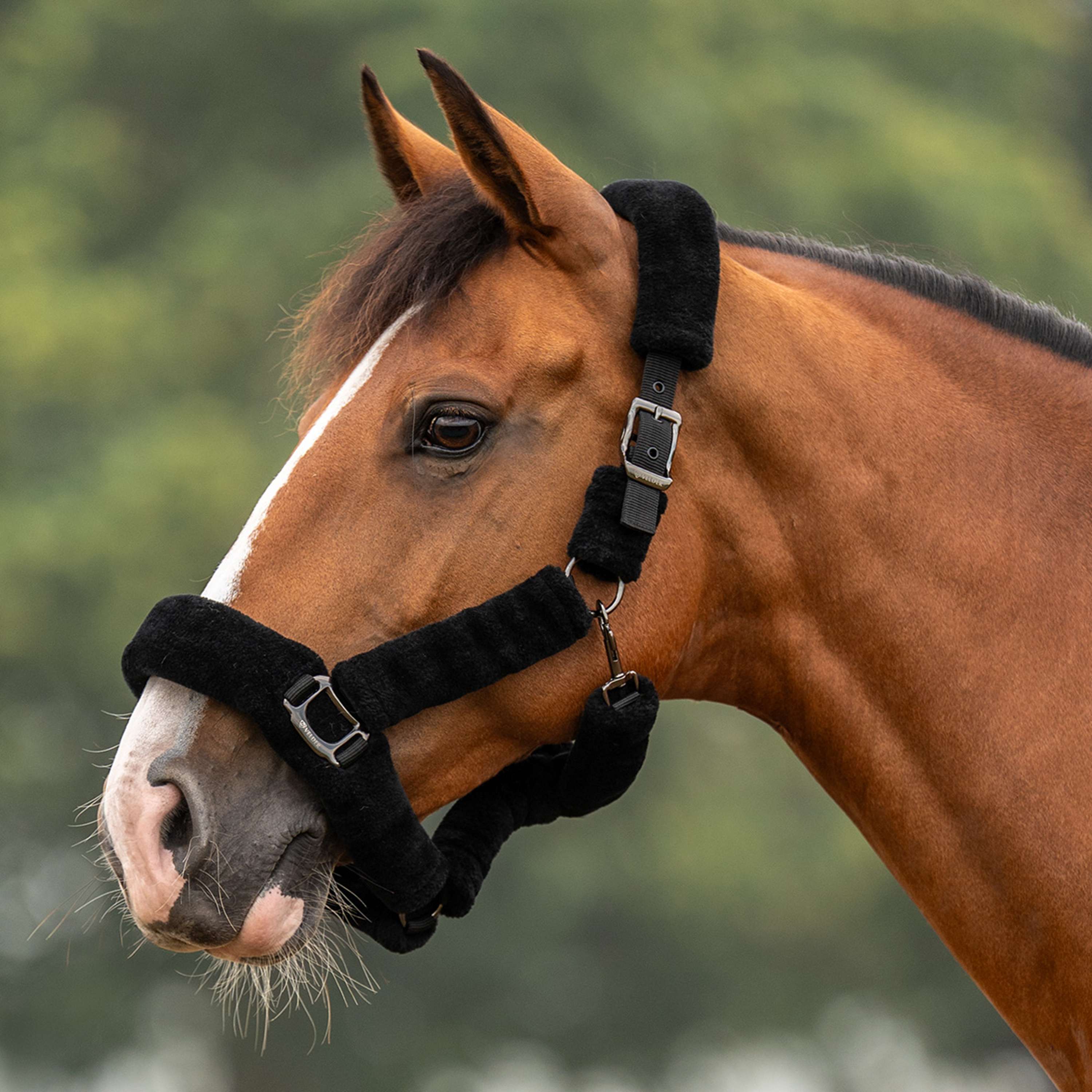 Velder Horsewear Premium Licol Comfort Fur Noir