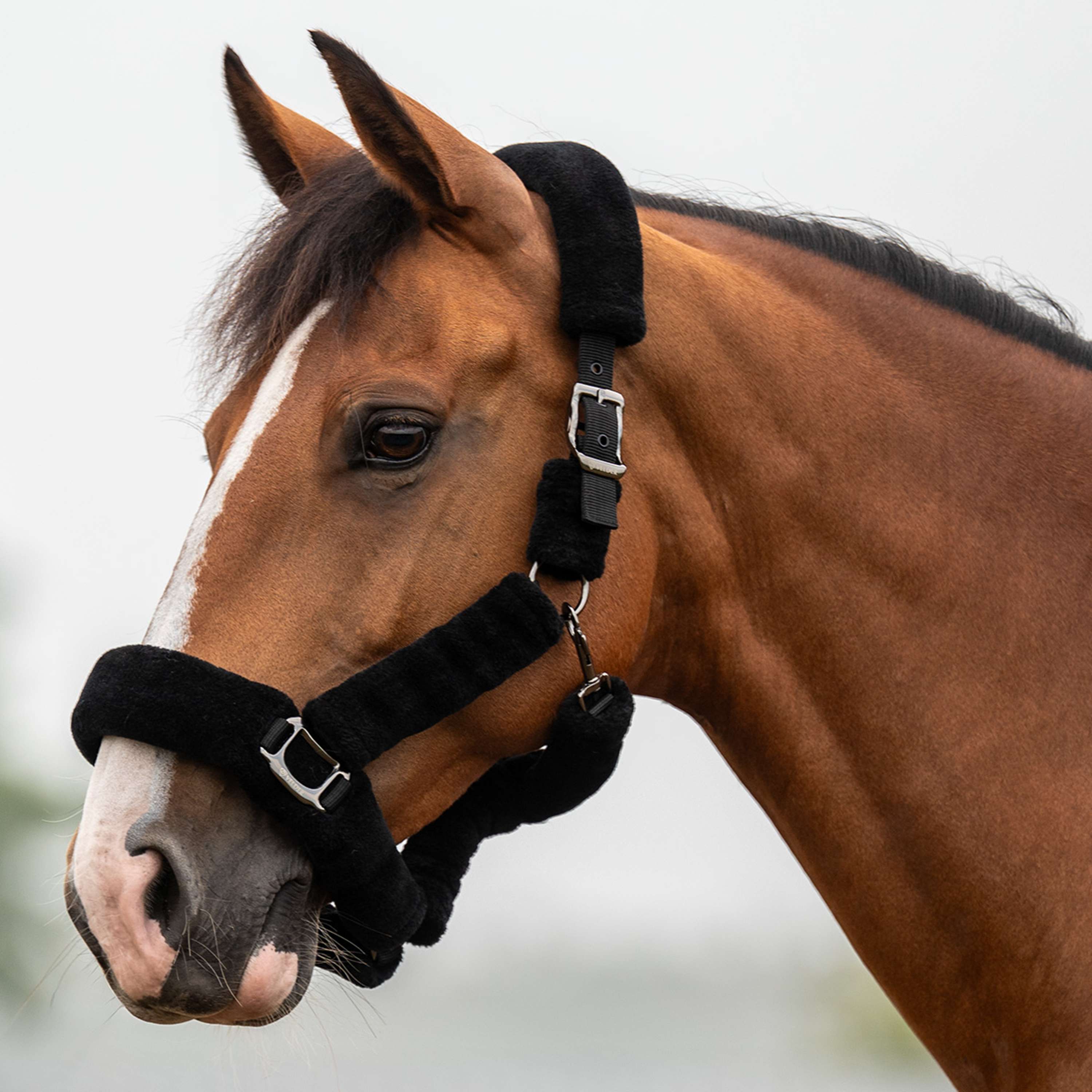 Velder Horsewear Premium Licol Comfort Fur Noir