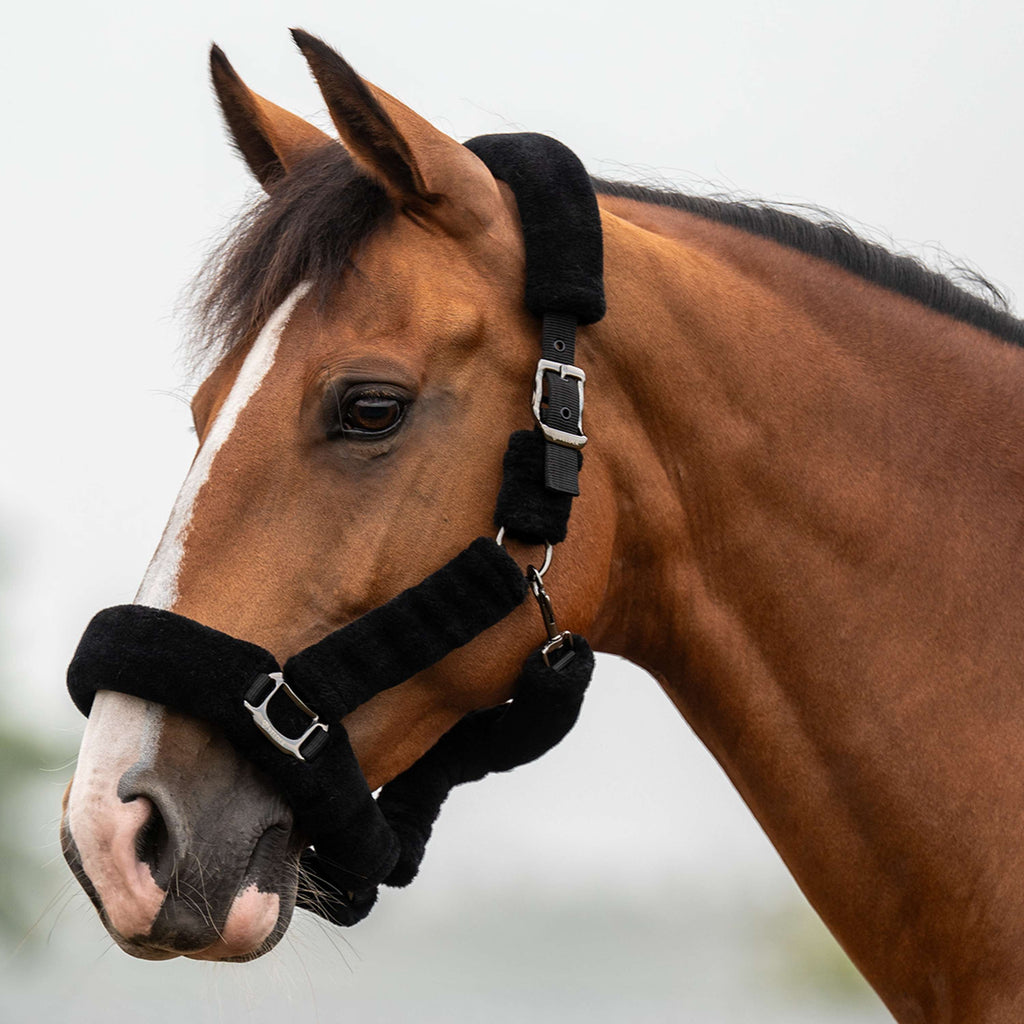 Velder Horsewear Premium Licol Comfort Fur Noir
