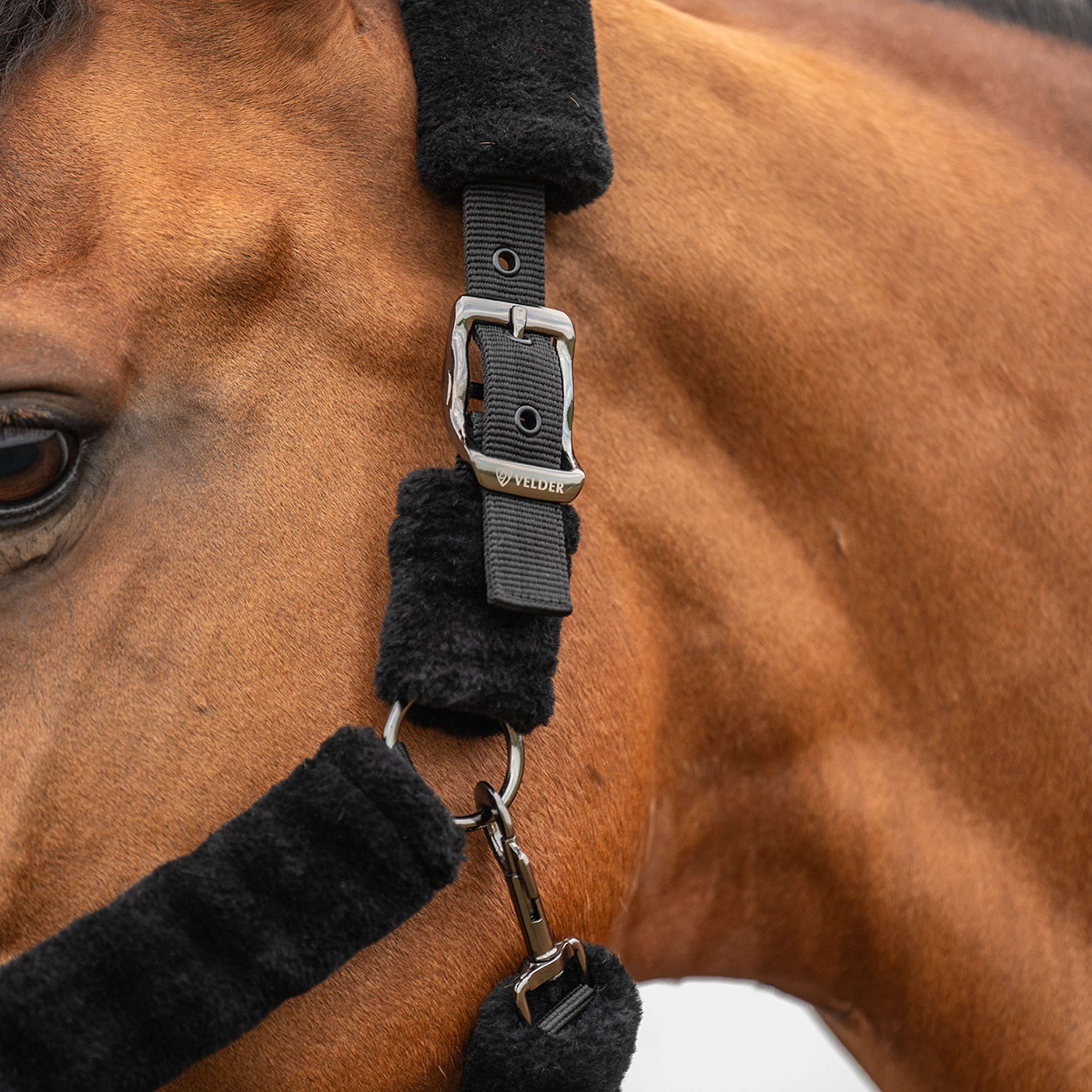 Velder Horsewear Premium Licol Comfort Fur Noir