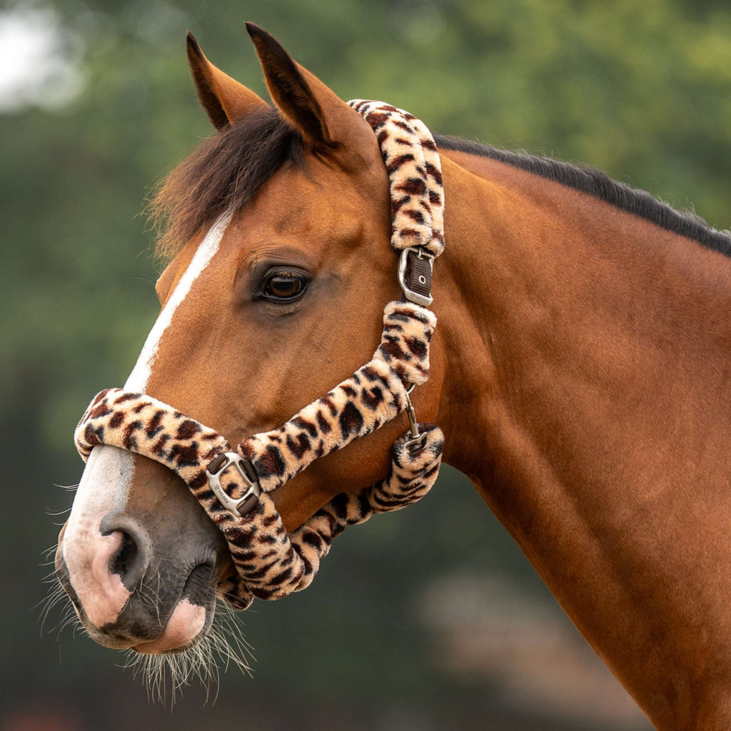 Velder Horsewear Premium Licol Comfort Fur Snow Leopard Marron