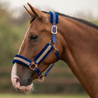 Velder Horsewear Essentials Licol Soft Sparkle Marin