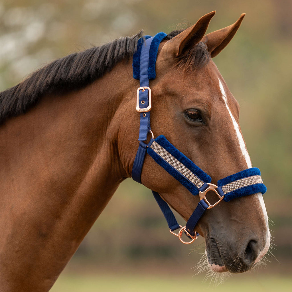 Velder Horsewear Essentials Licol Soft Sparkle Marin