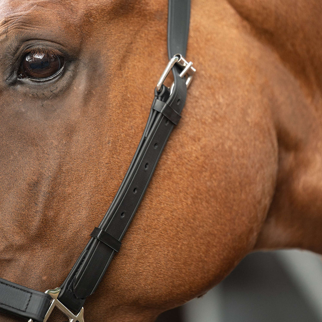 Velder Horsewear Premium Licol WashPro Noir
