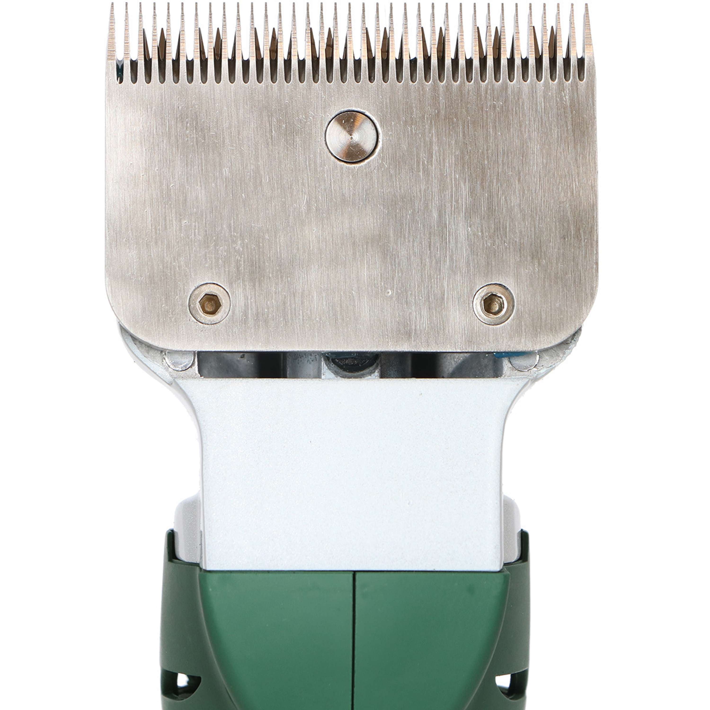 Agradi Horse Tondeuse à batterie HC-2600 Vert