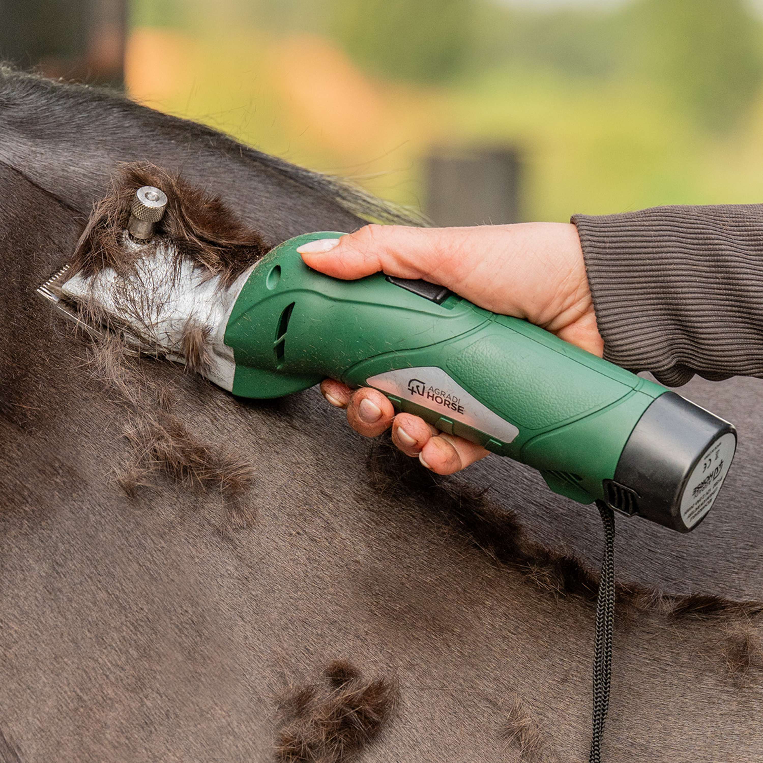 Agradi Horse Tondeuse à batterie HC-2600 Vert