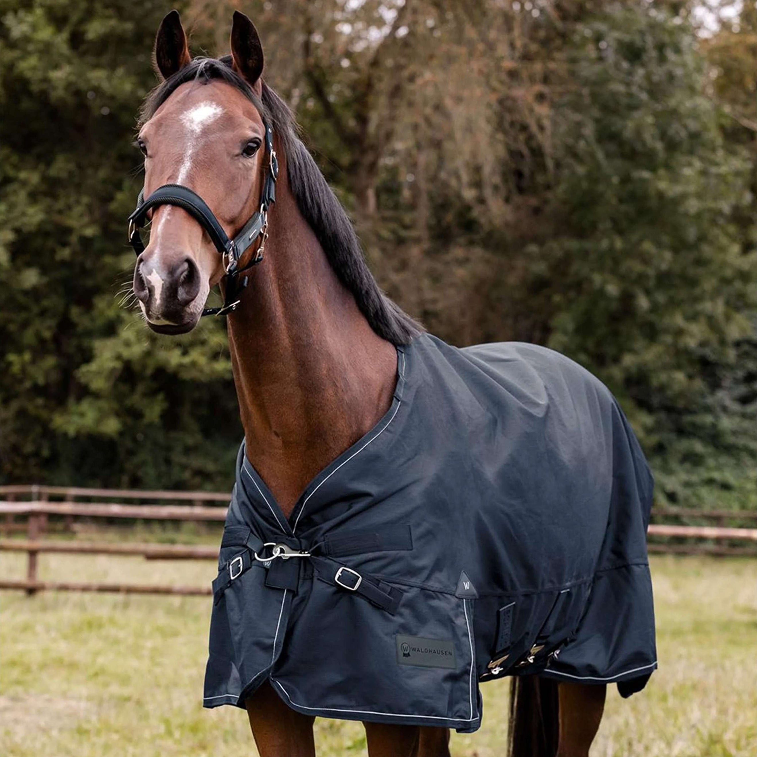 Waldhausen Couverture d'Extérieur Scandic Multi-Layer 50/150g Nightblue