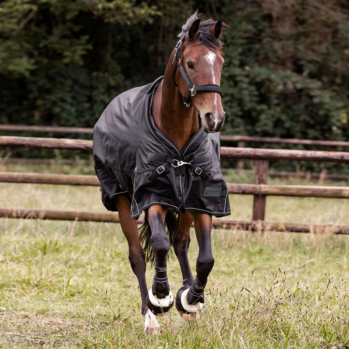 Waldhausen Couverture d'Extérieur Scandic Multi-Layer 50/150g Noir