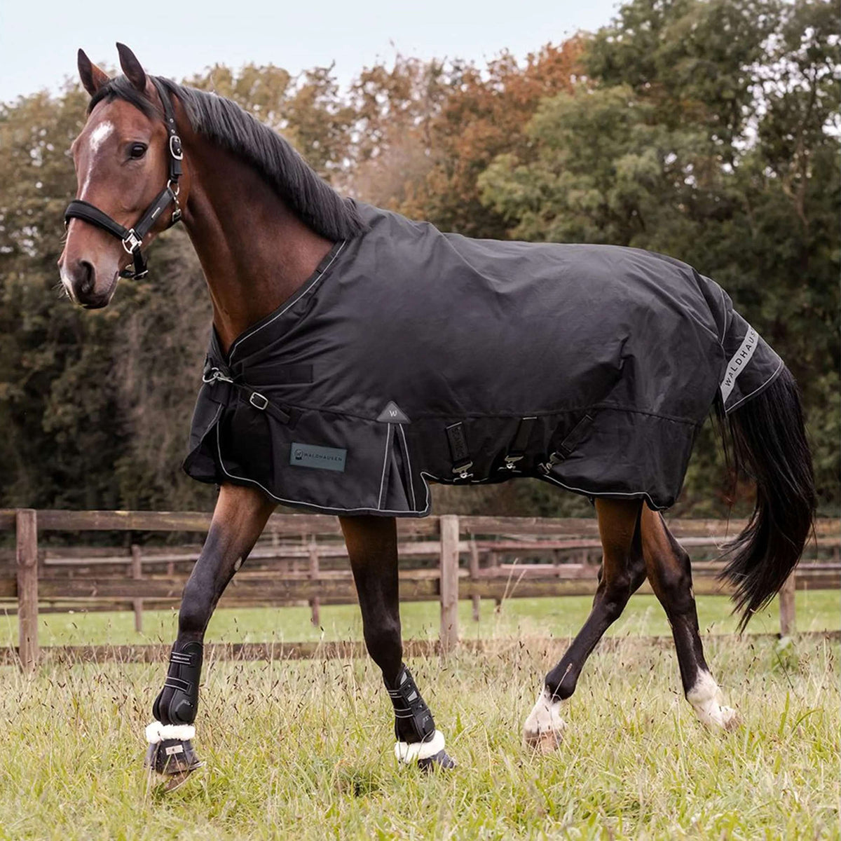 Waldhausen Couverture d'Extérieur Scandic Multi-Layer 50/150g Noir