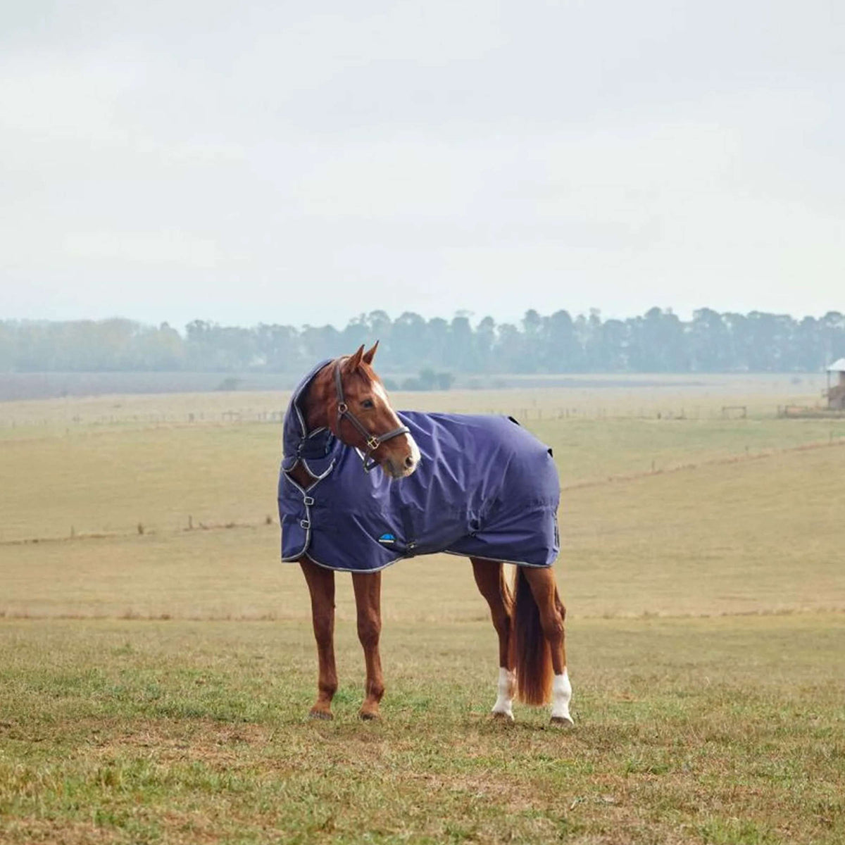 WeatherBeeta ComFiTec Tyro Turnout Combo Neck 50g Navy/Charcoal