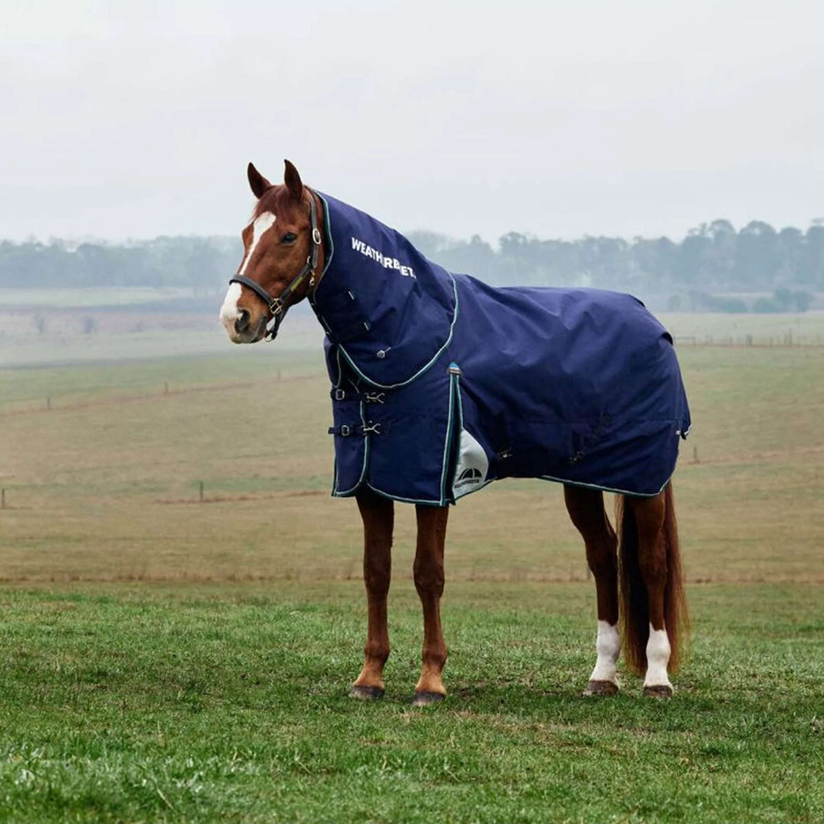 WeatherBeeta ComFiTec Plus Dynamic Turnout Detach-A-Neck 0g Navy/Forest Green