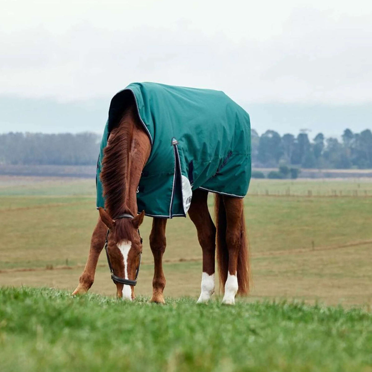 WeatherBeeta ComFiTec Plus Dynamic Turnout High Neck 100g Forest Green/Navy