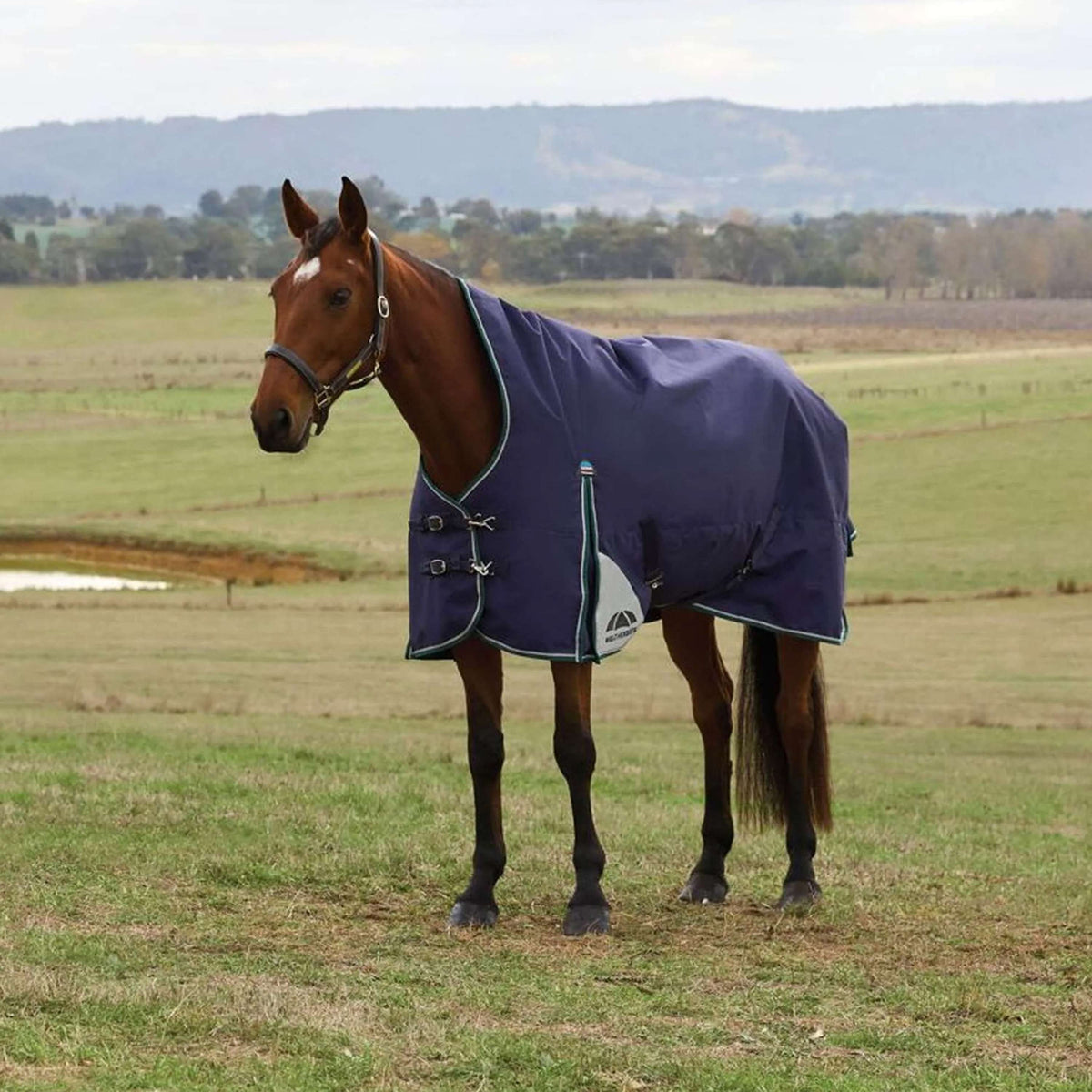 WeatherBeeta ComFiTec Plus Dynamic Turnout High Neck 100g Navy/Forest Green