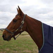 WeatherBeeta ComFiTec Plus Dynamic Turnout High Neck 100g Navy/Forest Green